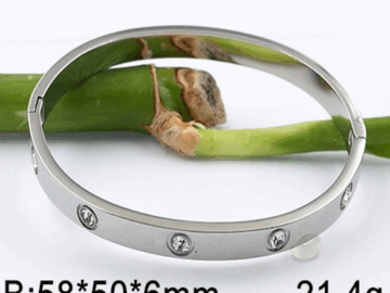 Brazalete plateado 6mm pedrería "CaRtiEr"